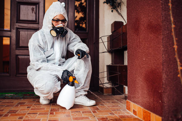 Reliable Bed Bug Control contractor in Glen Burnie, MD by Nex Pest Control