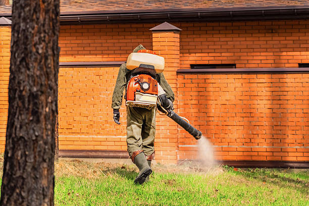 Trusted Bed Bug Control service in Glen Burnie, MD - Nex Pest Control